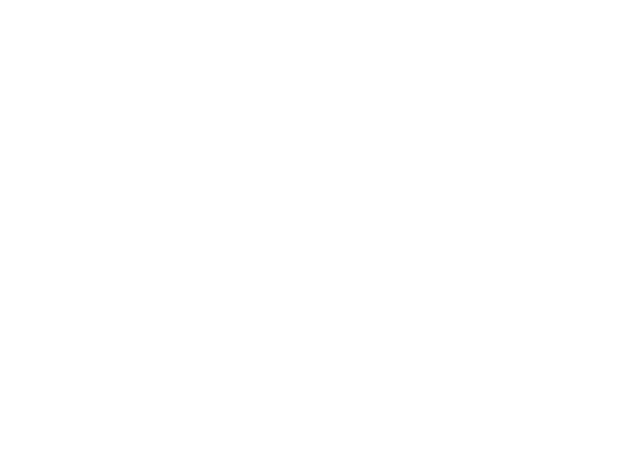 Remax Leon